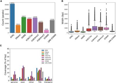 Prediction accuracy of regulatory elements from sequence varies by functional sequencing technique